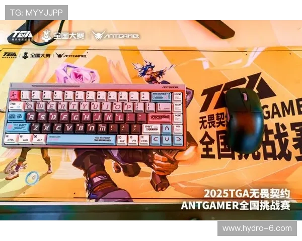 完美电竞官方下载平台安全可靠,保障玩家个人信息与游戏体验